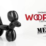 MEC invité à la Woopiii